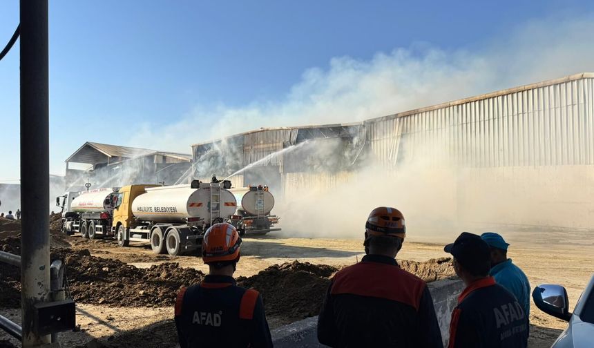 Urfa'da hayvan çiftliğinde büyük yangın