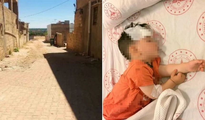 Urfa’daki olaya Bakanlık el koydu! Müfettiş görevlendirildi