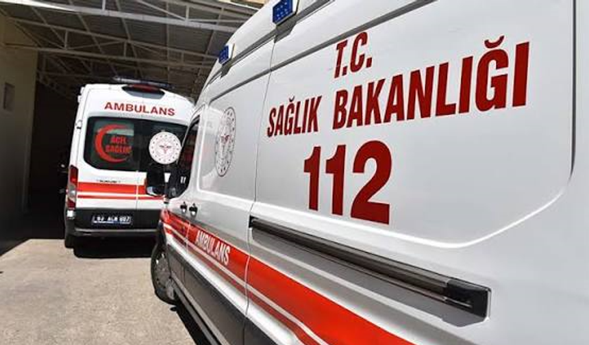 Yola aniden çıkan eşek kazaya neden oldu: 4 yaralı