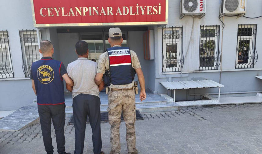 Ceylanpınar’da firari hükümlü jandarmadan kaçamadı