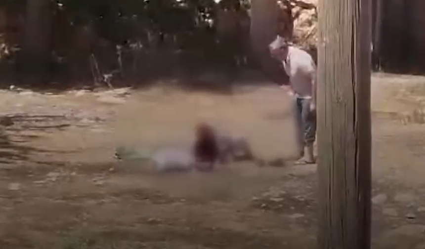 Şanlıurfa’da vahşet: 85 yaşındaki annesi oğlunun saldırısıyla ağır yaralandı