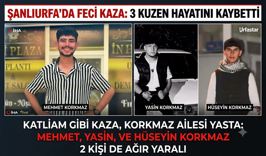 Araç kiralayıp Urfa’ya gezmeye geliyorlardı