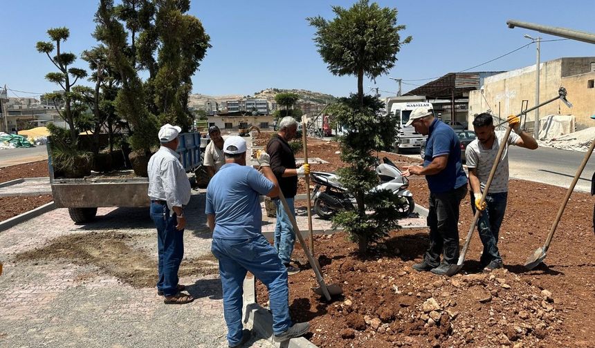 Eyyübiye’de yeşillendirme çalışmaları hız kesmiyor