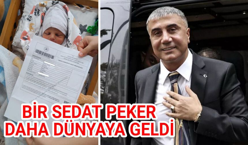 Bir Sedat Peker daha dünyaya geldi