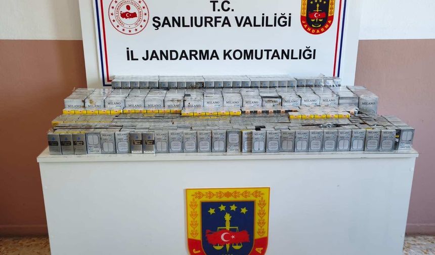 Viranşehir ve Haliliye’de jandarmadan kaçakçılık operasyonu