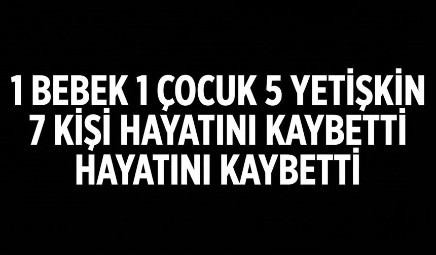 Feci Kaza: Otomobil ile Yolcu Otobüsü Çarpıştı, 7 Ölü, 13 Yaralı