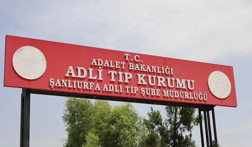 Koyun sürüsünü otlatıyordu! Eyyübiye’de otomobil çobanı hayattan kopardı