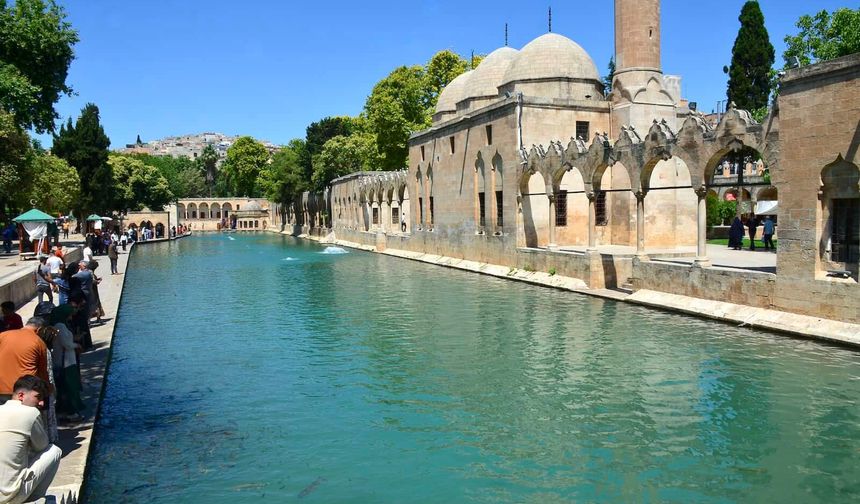 Urfalılar en çok hangi şehirde yaşıyor? İşte dikkat çeken nüfus dağılımı...