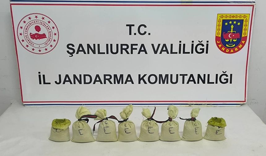 Şanlıurfa’da narkotik operasyonu: Kilolarca esrar ele geçirildi