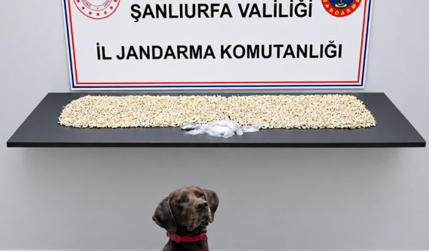 Şanlıurfa’da zehir tacirlerine darbe: Binlerce Captagon ele geçirildi