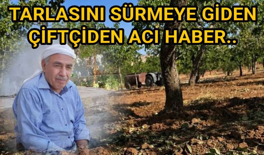 Urfa'da fıstık tarlasında acı olay!