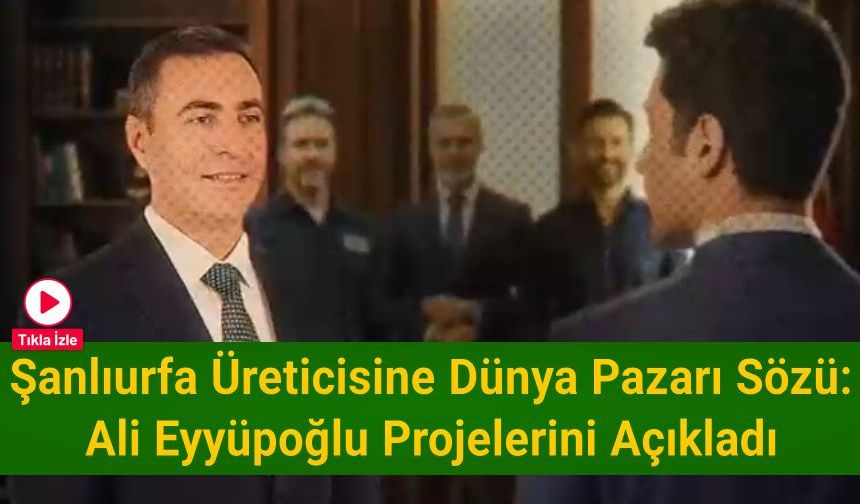 Şanlıurfa Üreticisine Dünya Pazarı Sözü: Ali Eyyüpoğlu Projelerini Açıkladı