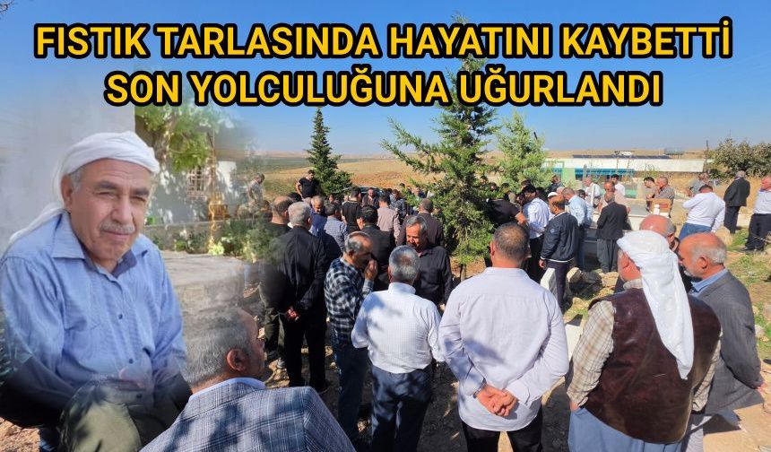 Şanlıurfa’da traktör kazasında hayatını kaybeden Hasan Demir toprağa verildi