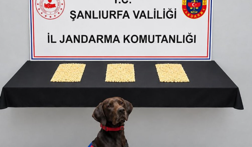 Şanlıurfa’da uyuşturucu operasyonu