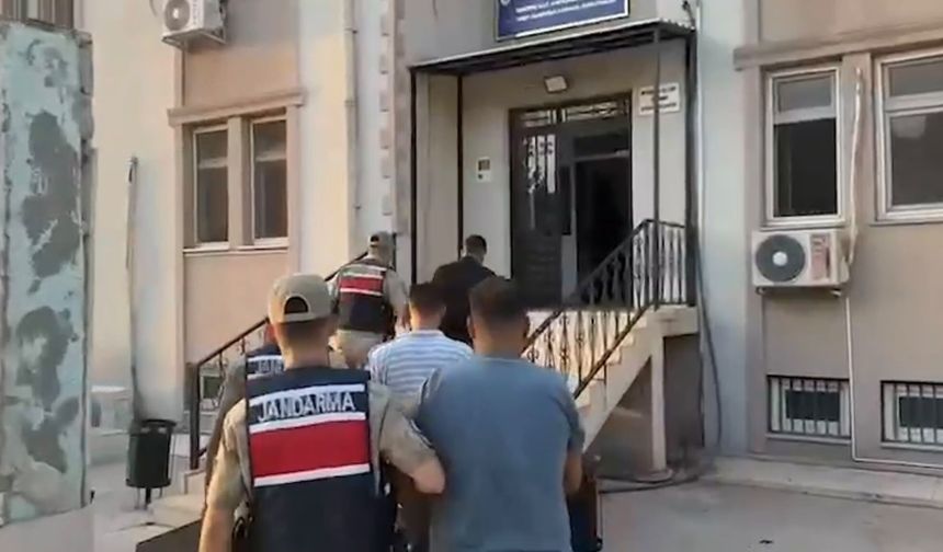 Bahçeden 1,1 ton fıstık çaldılar! Jandarma peşlerine düştü
