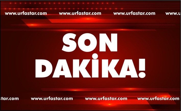 Urfalı genç Antalya'da çilek satarken öldürüldü