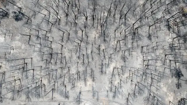 Bursa Da Aci Tablo Yanginin Biraktigi Tahribat 18896896 2580 M