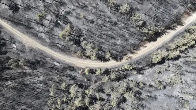 Bursa Da Aci Tablo Yanginin Biraktigi Tahribat 18896896 3320 M