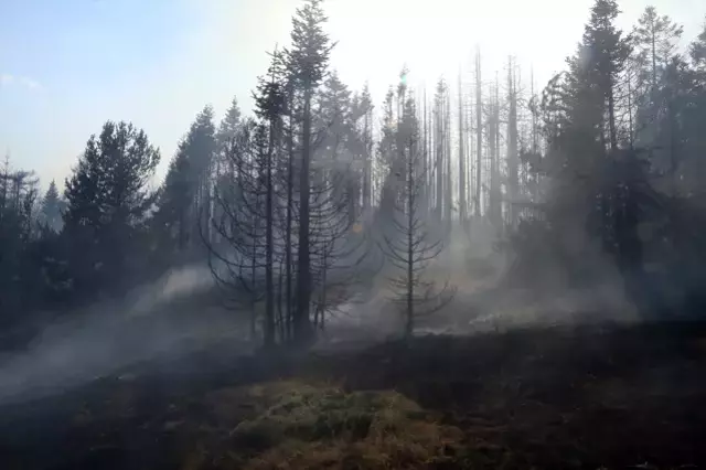 Bursa Da Aci Tablo Yanginin Biraktigi Tahribat 18896896 3842 M