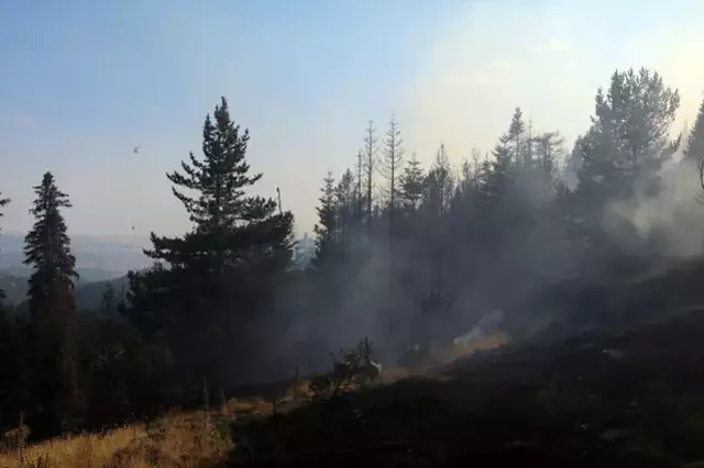 Bursa Da Aci Tablo Yanginin Biraktigi Tahribat 18896896 5655 M