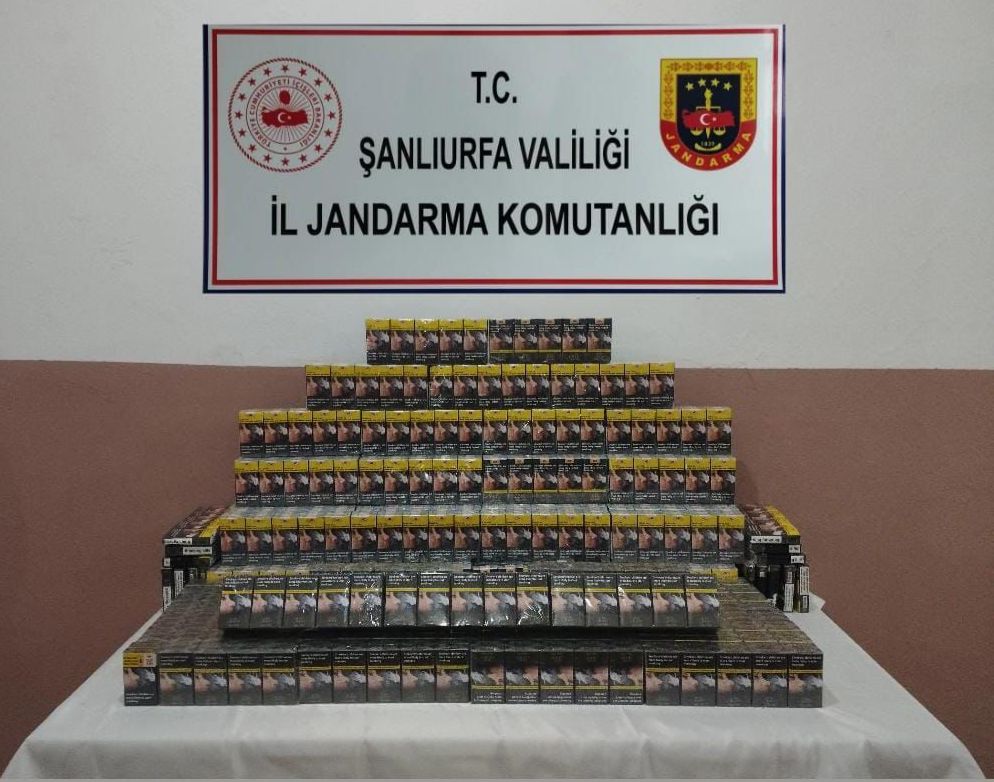 I M G 20250723 W A0014