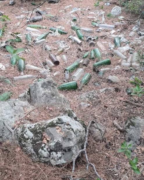 I M G 20250727 W A0007