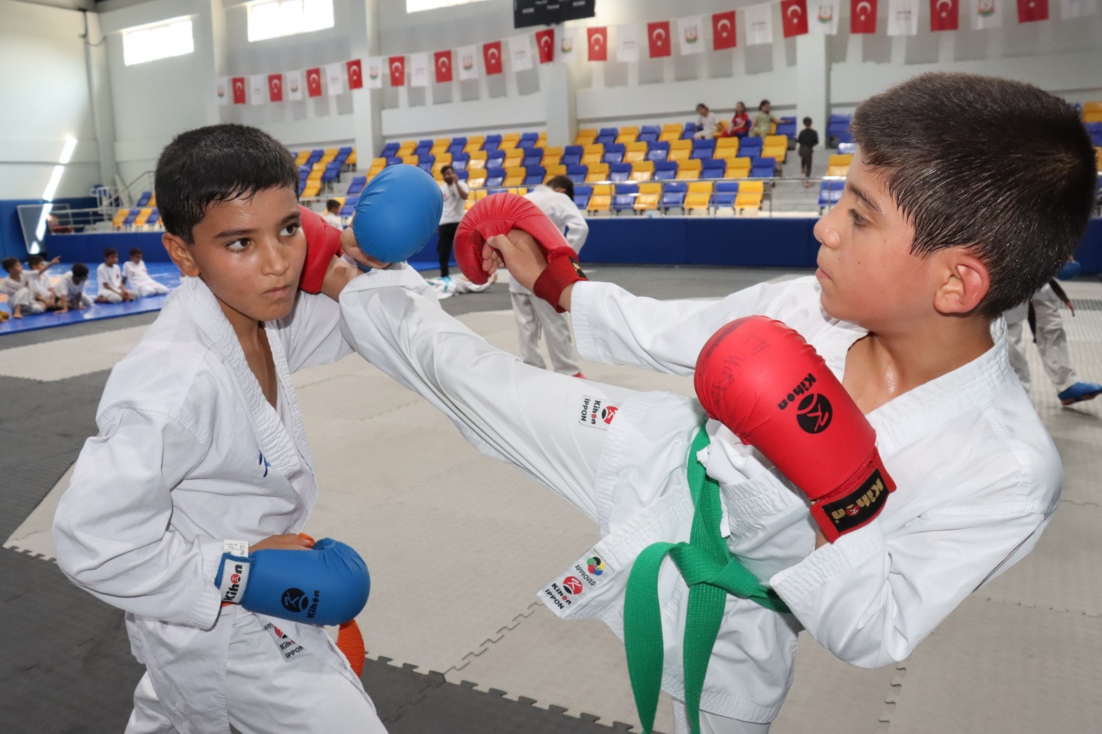 I M G 20250808 W A0021