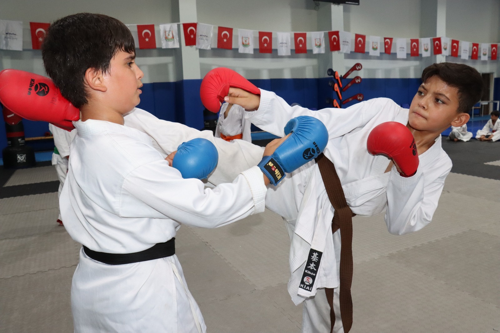 I M G 20250808 W A0023