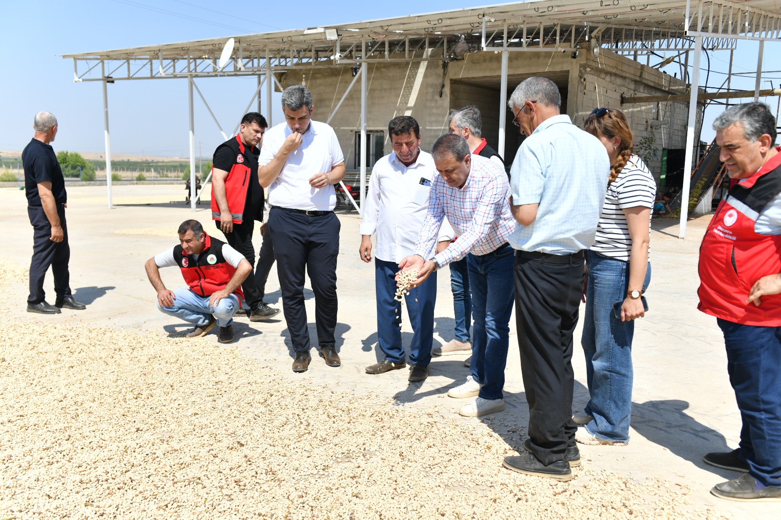 I M G 20250810 W A0014