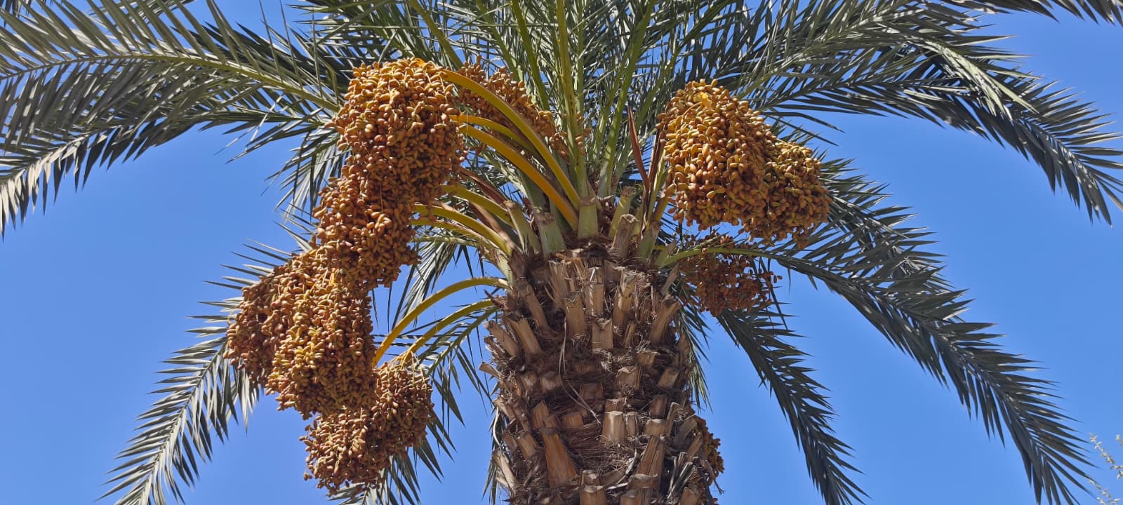 I M G 20251005 W A0010