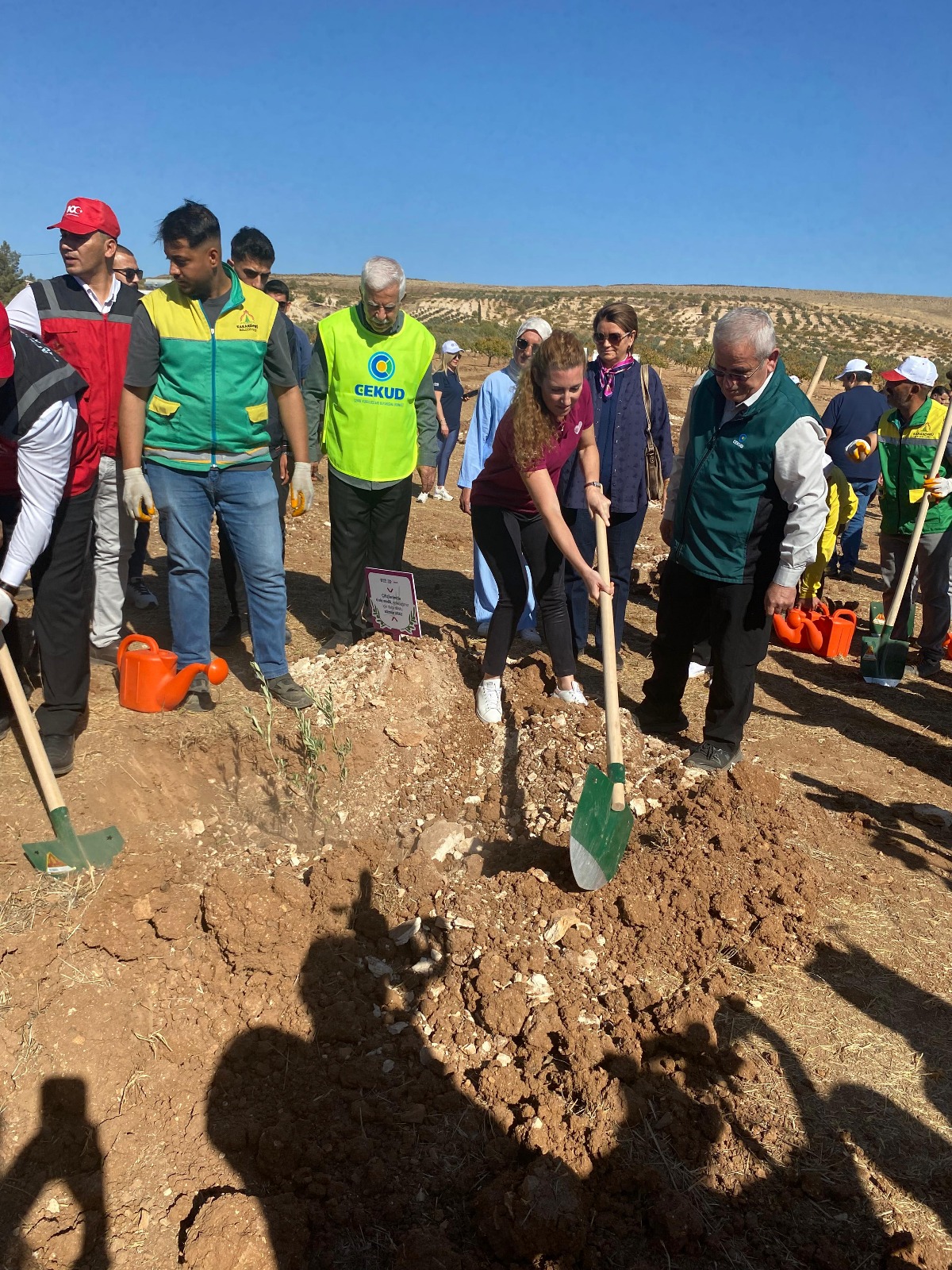 I M G 20251017 W A0020