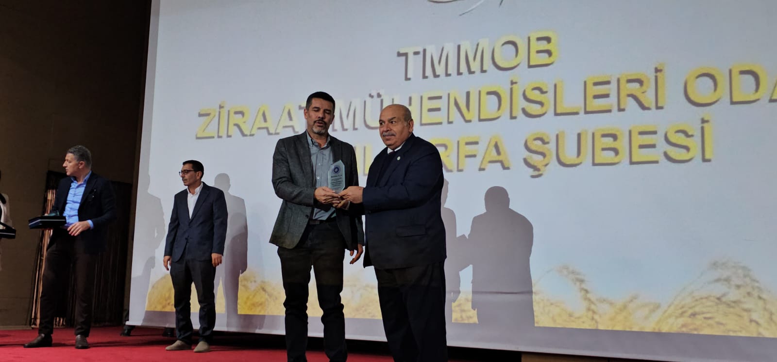 I M G 20251129 W A0009