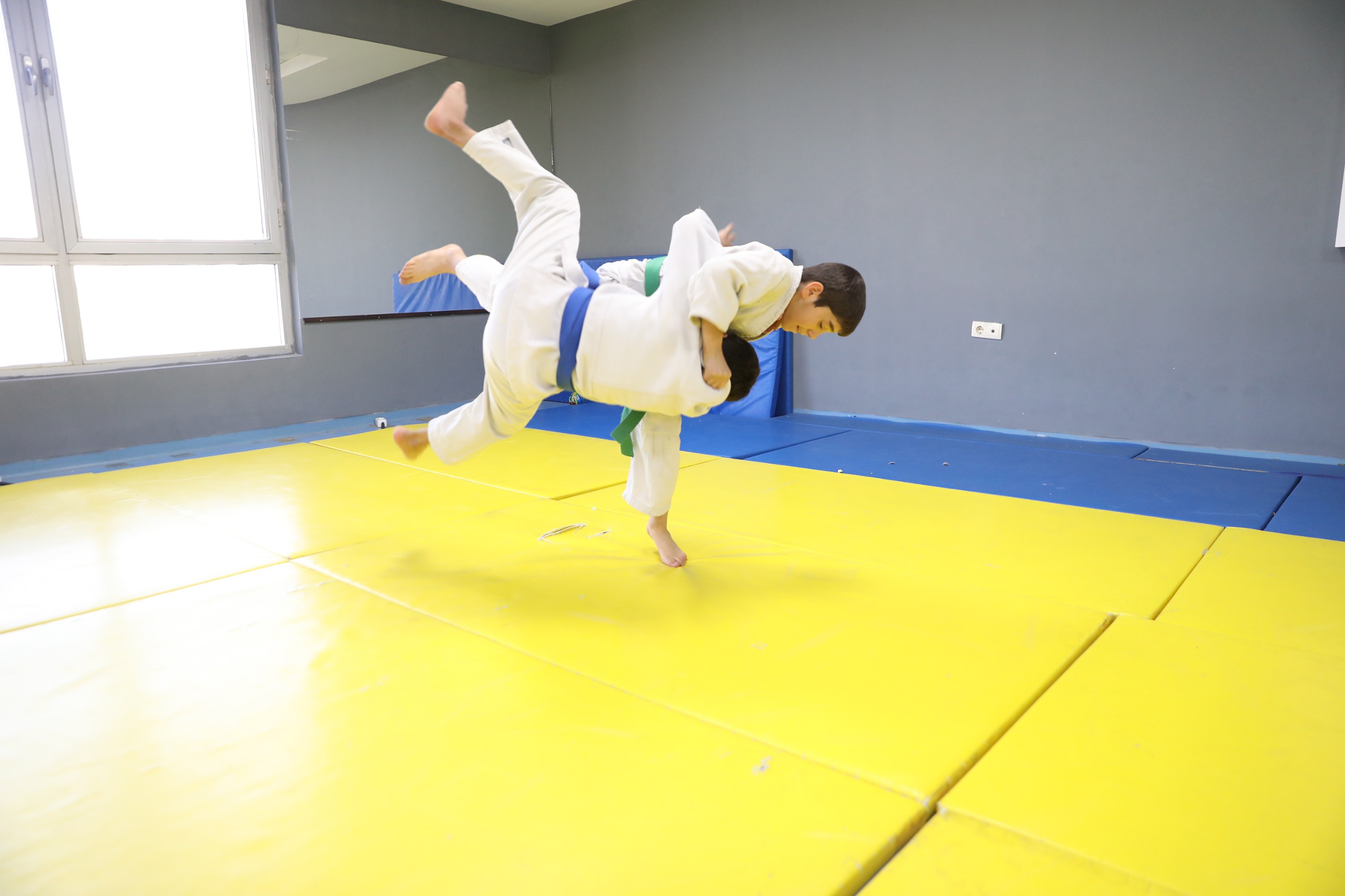 I M G 20251208 W A0007