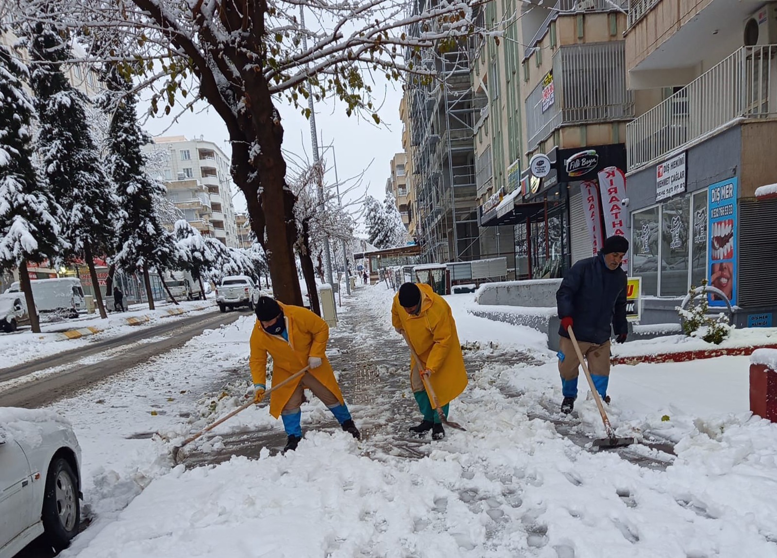 I M G 20260123 W A0025-1