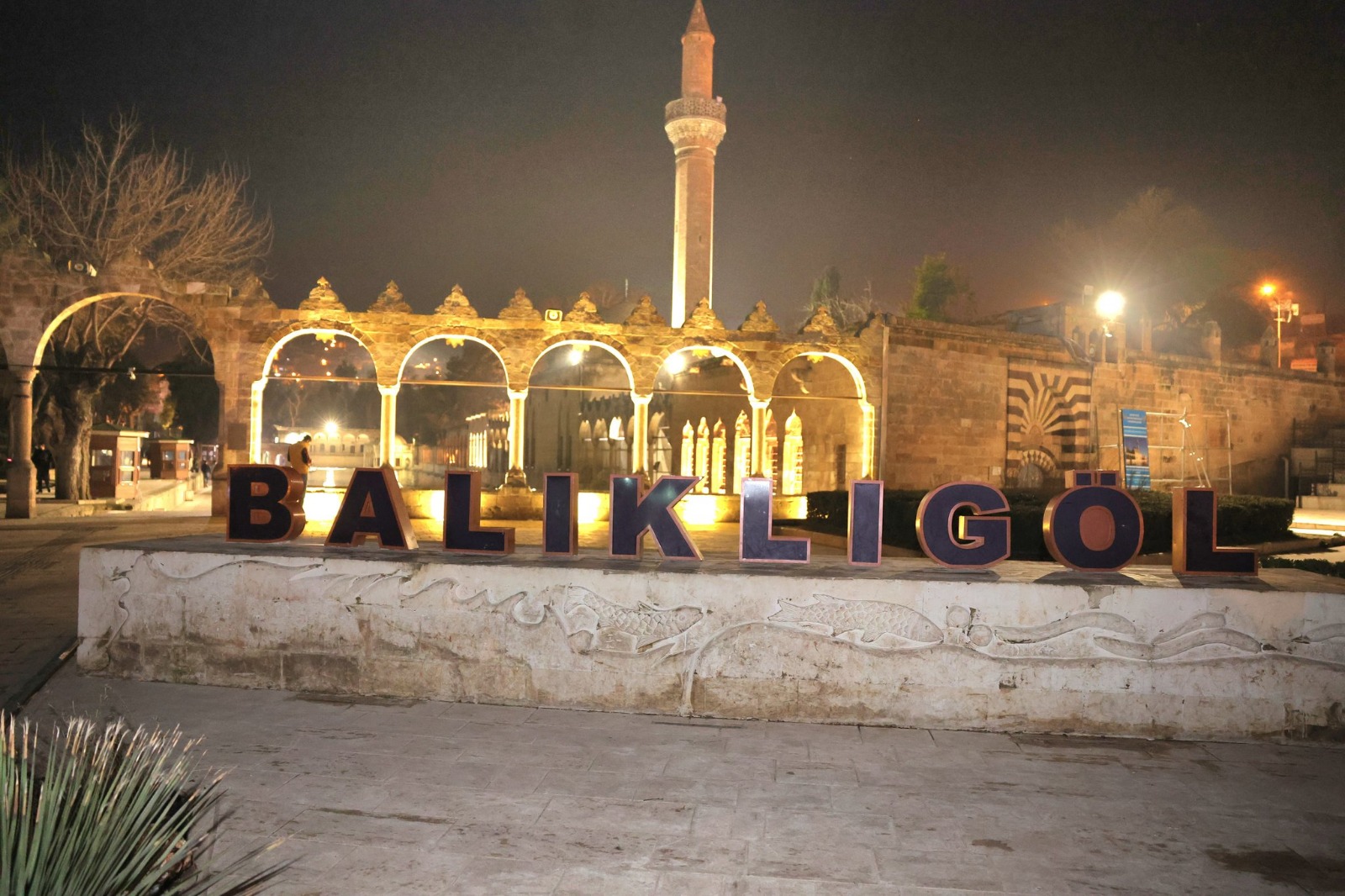 I M G 20260221 W A0015