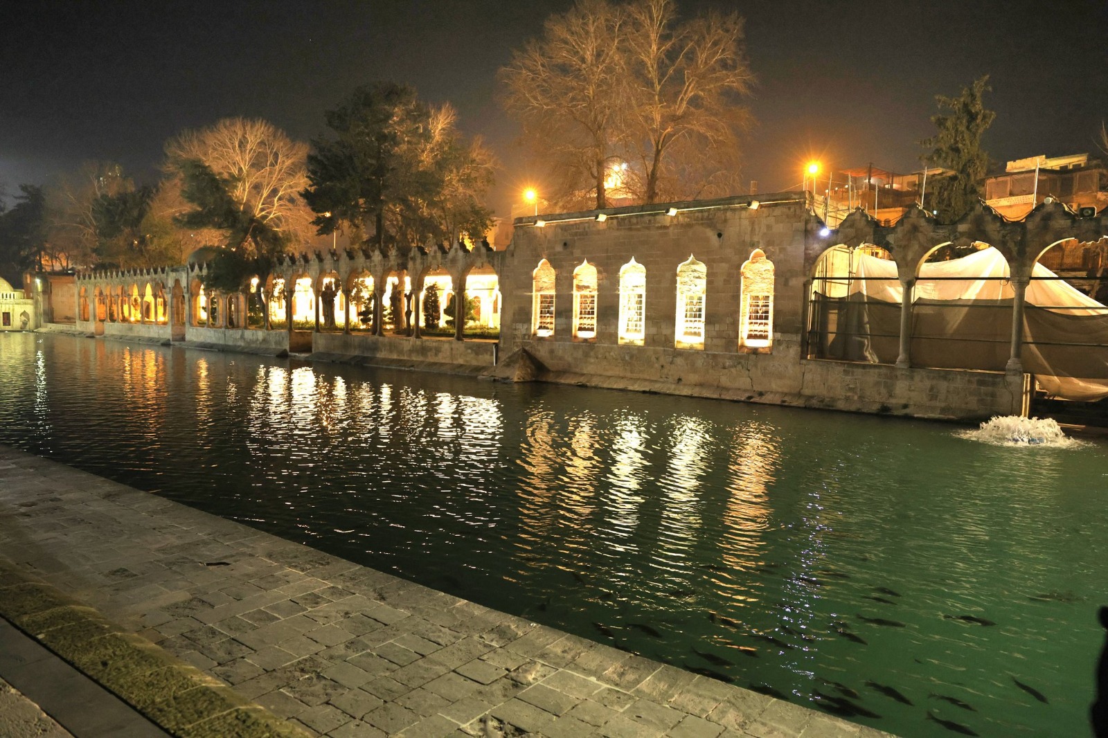 I M G 20260221 W A0018