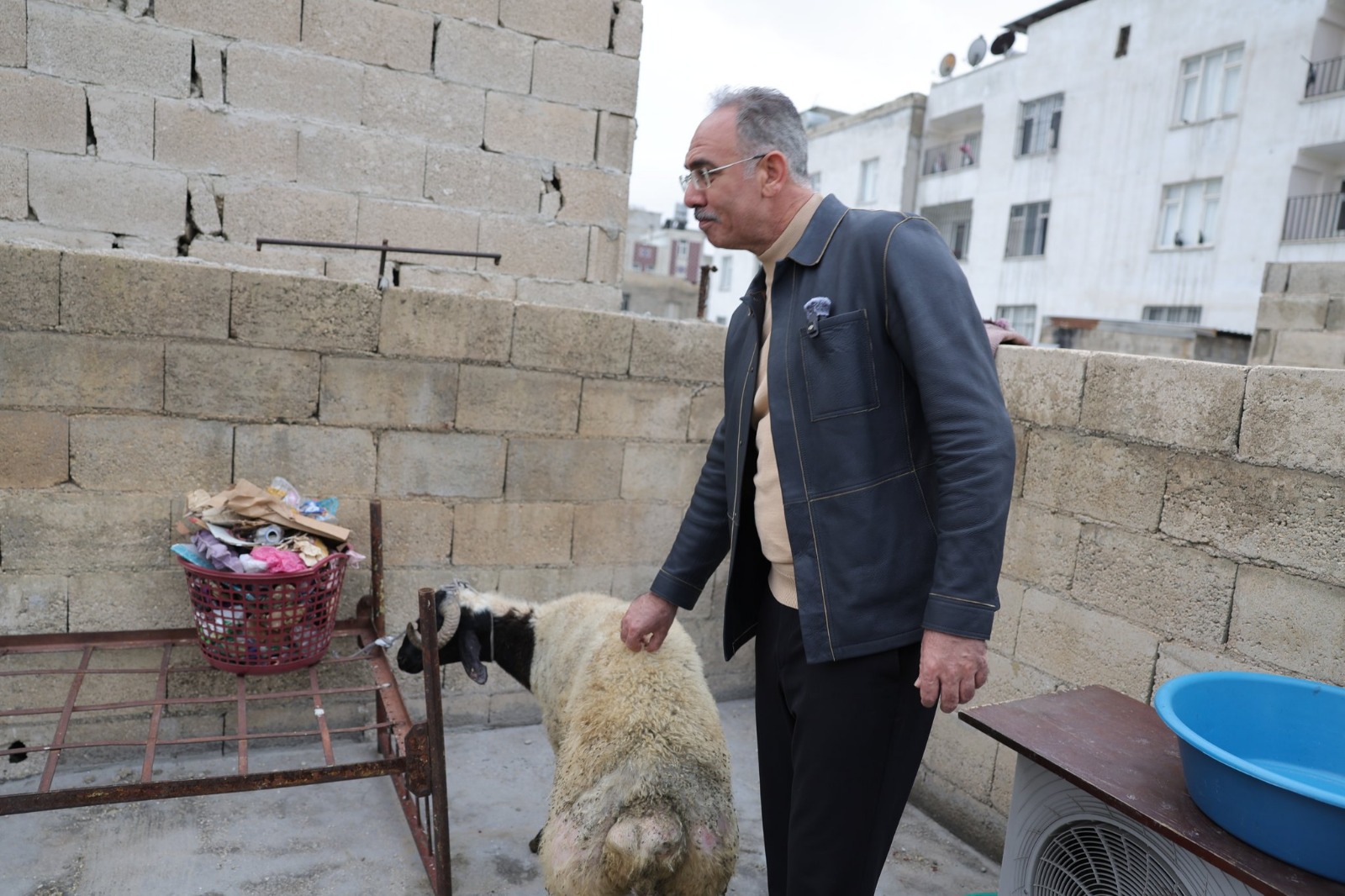 I M G 20260222 W A0006