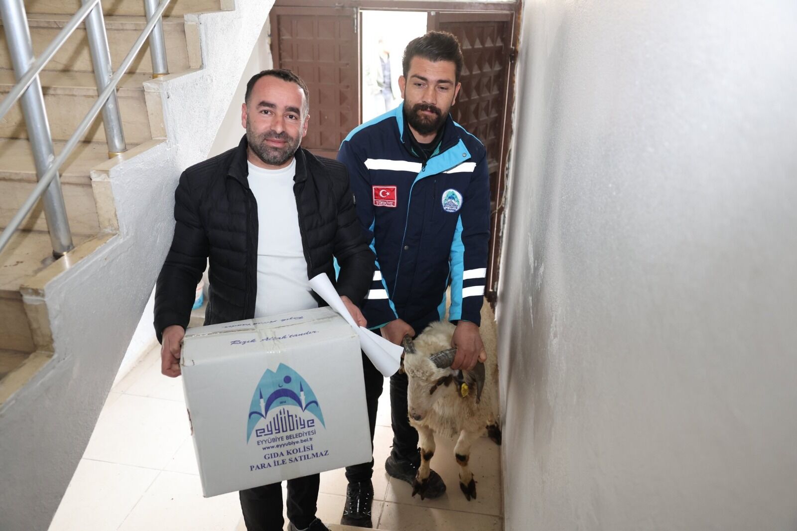 I M G 20260304 W A0026