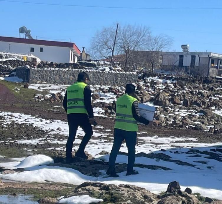 I M G 20260312 W A0010