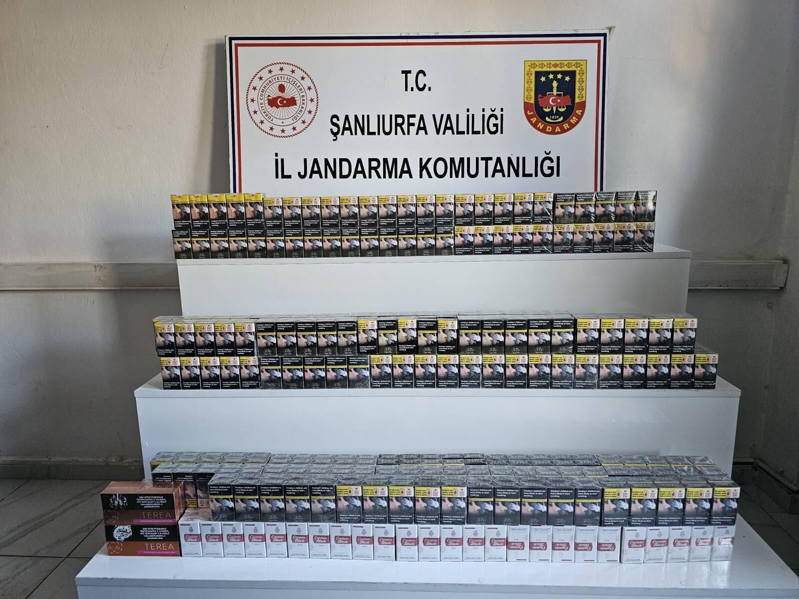 I M G 20260328 W A0001