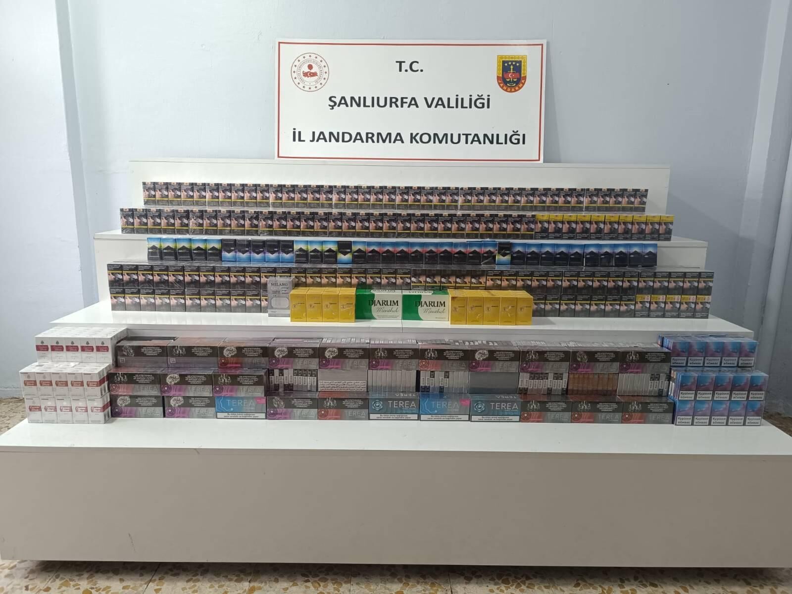 I M G 20260328 W A0002