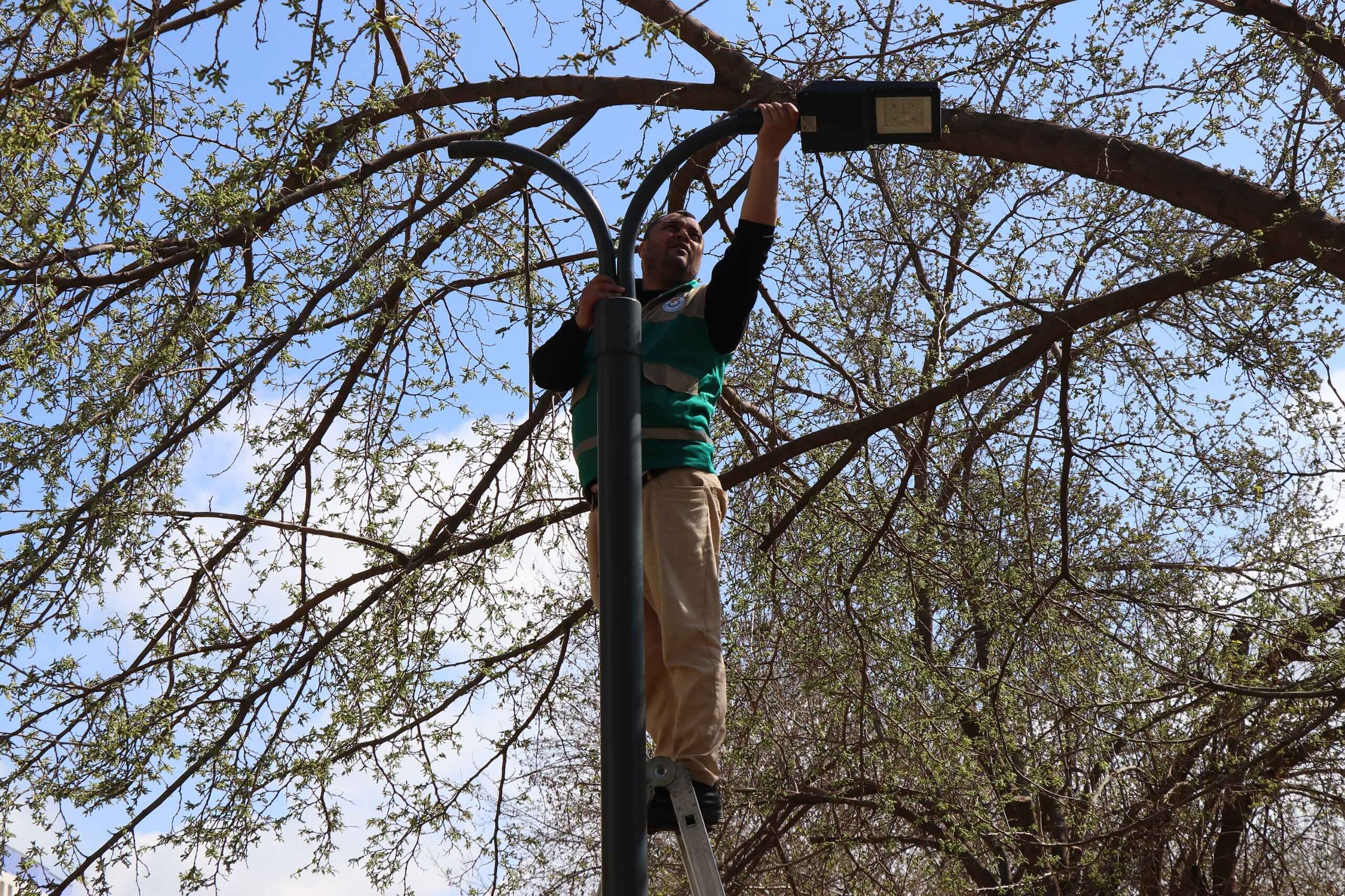 I M G 20260406 W A0006